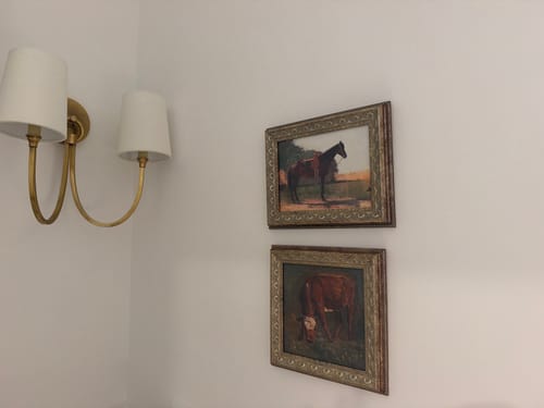 Customer photo review of Grazing Red Heifer