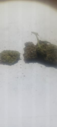 Customer photo review of Cali Kush Smalls (BOGO)