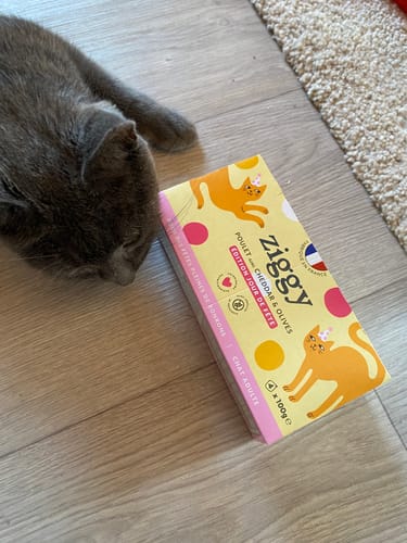 Customer's gray cat sniffing the Pâtée Jour de Fête cat food box on a wooden floor.