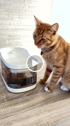 Customer video review of Wireless Weight-Sensing Pet Fountain