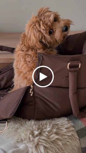 Customer video review of Chocolate┃The Puffer Carrier