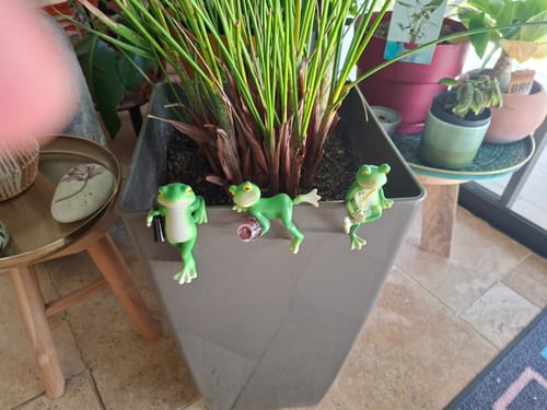 Customer photo review of La bande au complet