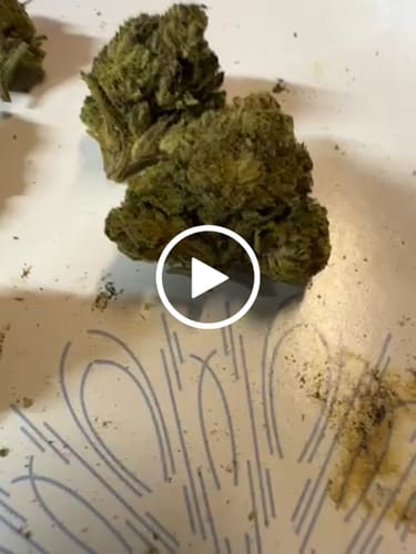 Customer video review of Silver Kush High Grade Flower (1oz)