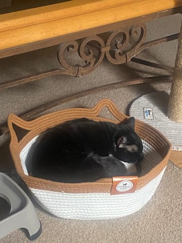 Customer's black cat sleeping comfortably inside a round, two-tone rope Instinct Basket on a carpeted floor.