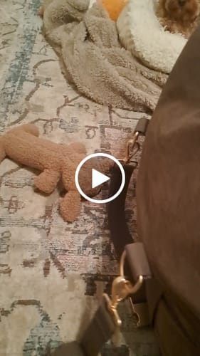 Customer video review of Chocolate | The Puffer Car Seat