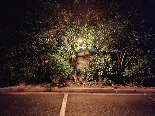 Customer's TL2000 Telescopic Camping Light illuminating trees at night from an elevated position.