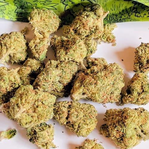 Customer photo review of Royal Gelato THCA Flower