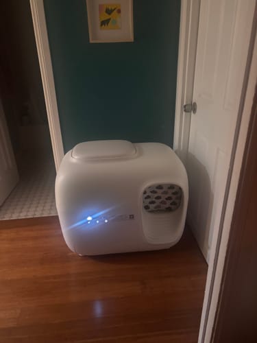 Customer photo review of Self-Cleaning Litter Box