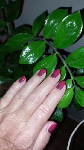 Kundenhand mit aufgetragenen, bordeauxfarbenen Taunted UV Gel Nail Wraps vor einer Pflanze.