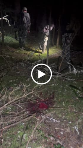 Customer video review of Cut on Contact Titanium Broadheads (3 Pack)