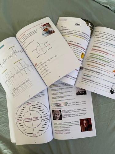 Reviewer's Bacademia manuals for Romanian, Math, and Psychology, showing colored diagrams, charts, and structured text.