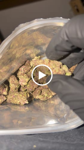 Customer video review of Tropicana Cherry THCA Flower