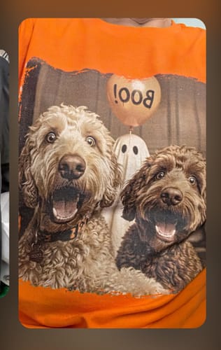 Customer's orange shirt featuring custom dog photo Halloween design with two dogs, a ghost, and a Boo balloon.