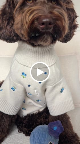 Customer video review of Cinzia x By Teddy | Blueberry Roll Neck Knit