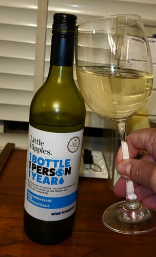Reviewer's hand holding a filled glass of pale yellow Zero Sugar Sauvignon Blanc next to the bottle