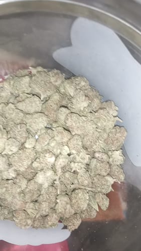 Customer's Space Station indoor smalls THCA flower, a dense pile of greenish-brown buds inside a clear container.