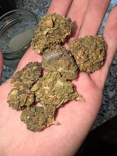 Customer photo review of Bulk THCA Flower Pounds