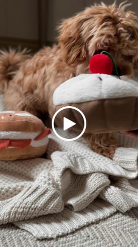 Customer video review of Salmon & Cream Cheese Bagel Toy
