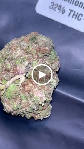 Customer video review of THC-A 32% Flower Lemonatti