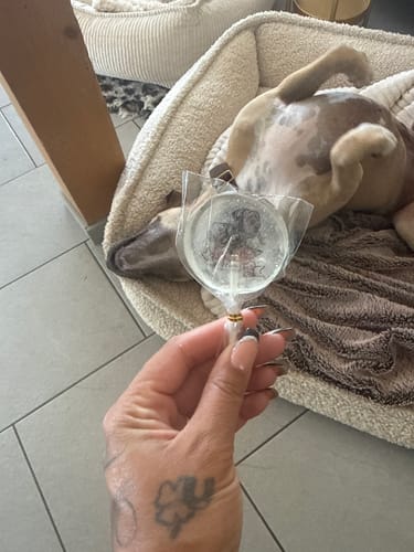 Customer photo review of Transparente Lollis - (Aufpreis)