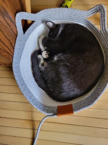 Customer's tuxedo cat curled up asleep in a grey, woven Instinct Basket on a wooden floor.