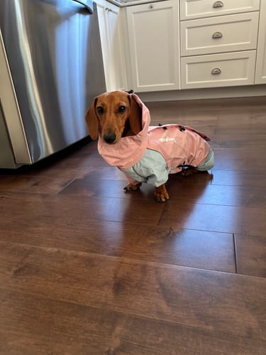 Customer photo review of Breezy Rain Suit