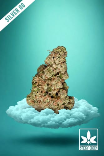 Customer's Silver OG flower bud, dense and resinous, floating on a stylized cloud background.