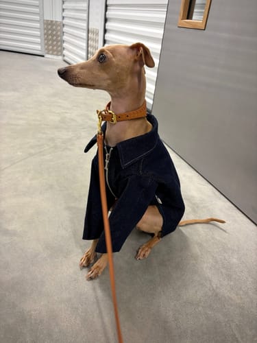 Customer photo review of Vintage Suede Cozy Jacket