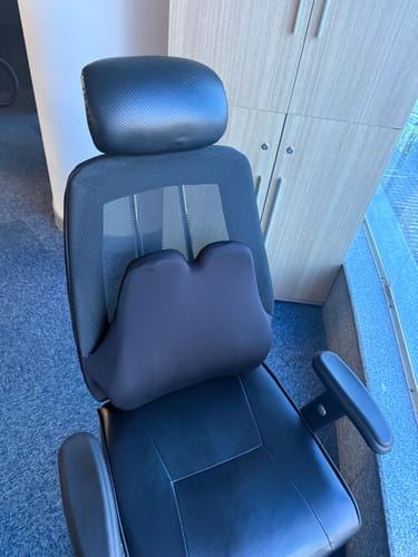 Customer photo review of Ravine - Back Support Pillow