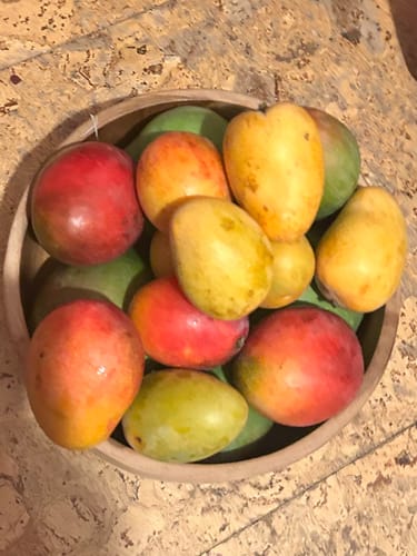Customer's Baby-Mango Mix in a bowl, featuring a colorful selection of small, ripe mangoes.