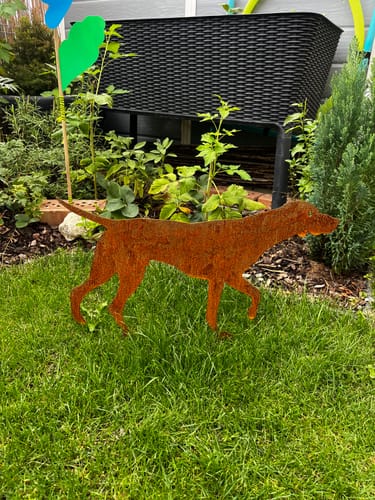 Customer photo review of Gartenstecker Deutsch Kurzhaar