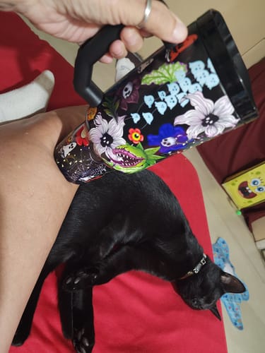 Customer's Toxic Bloom Thicc Buddy tumbler with a floral pattern held above a black cat on a red surface.