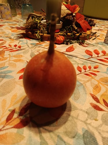Customer's orange Granadilla fruit sitting on a table with an autumn-themed tablecloth