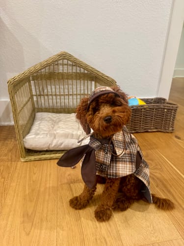 Customer photo review of Sherlock Plaid Newsboy Cap --Brown/Beige (PRE-ORDER)
