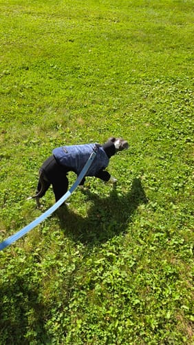 Customer photo review of Golden Corduroy Adventure Vest