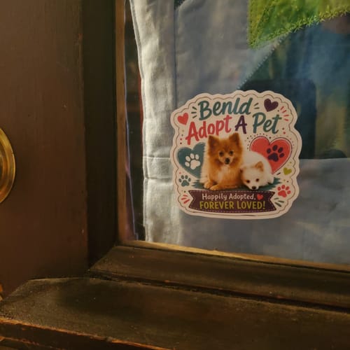 Customer's Custom Sticker on a glass door, showing two dogs, heart graphics, and the text Adopt A Pet.