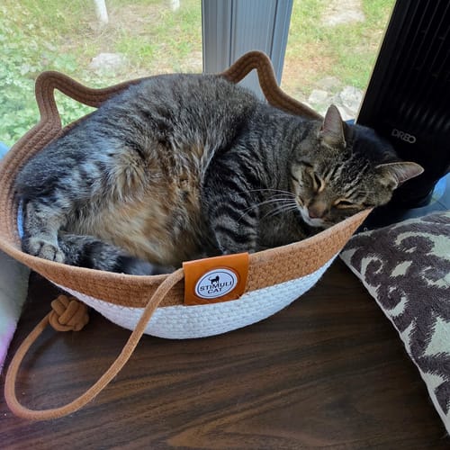 Customer's brown and white woven Instinct Basket with a tabby cat sleeping curled up inside near a window.