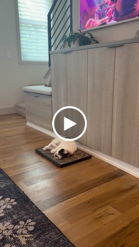 Customer video review of Butterfly Chart - Luxury Cat Scratching Board