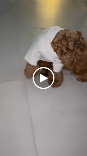 Customer video review of Cinzia x By Teddy | Blueberry Roll Neck Knit