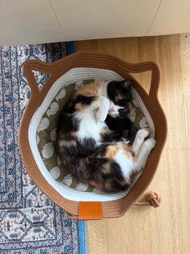 Customer's calico cat curled up sleeping inside the brown and white Instinct Basket on a patterned rug.
