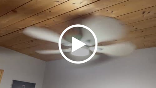 Avis vidéo d'un client sur Anémone | Ventilateur de plafond