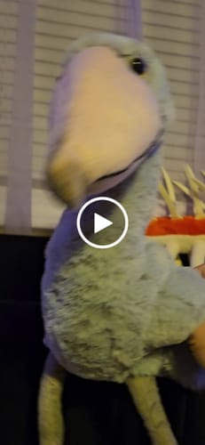 Customer video review of Shoebill Stork Plush – Soft, Realistic Stuffed Bird Toy for Nature Enthusiasts