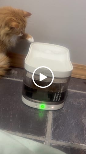 Customer video review of Wireless Weight-Sensing Pet Fountain