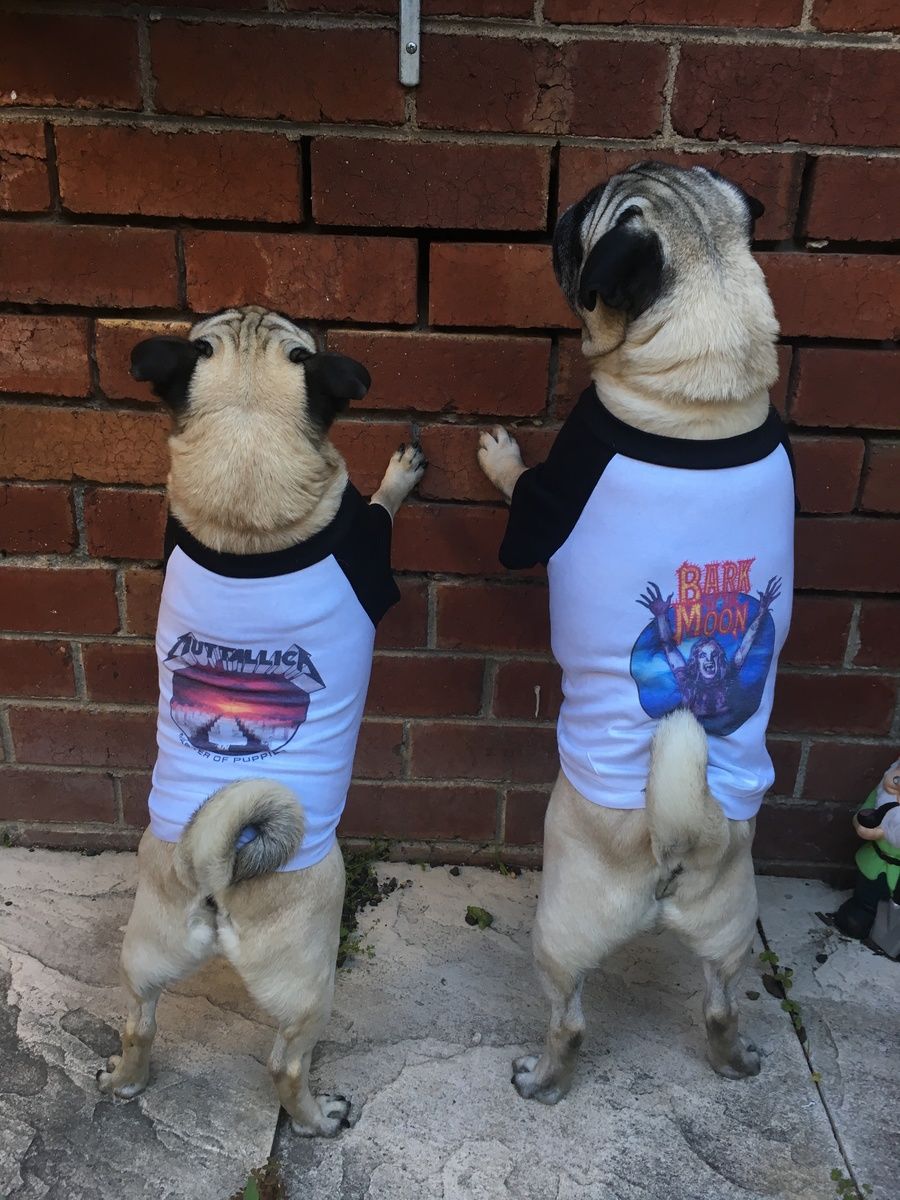 Customer photo review of Bark At The Moon Raglan Dog Tee