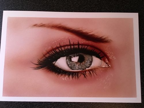 Customer photo review of Classroom in a box: Eye kit