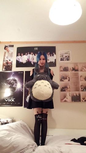 totoro tights