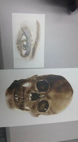 Customer photo review of Dru Blair: Airbrush - BeginnersAugust 11-14, 2016