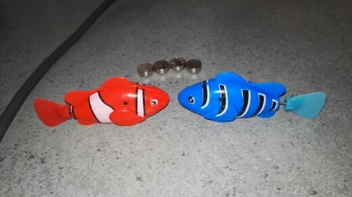 Customer photo review of High Quality Robot Fish