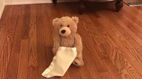 Customer photo review of Peek-a-Boo Plush Teddy Bear