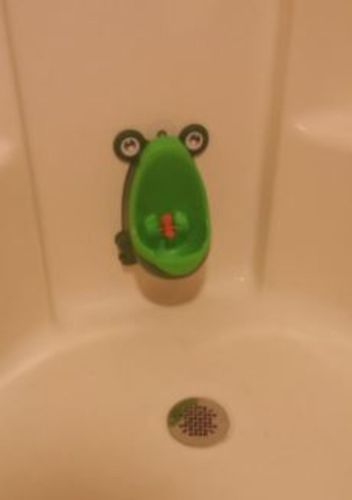 Customer photo review of Froggy Potty Baby Trainer